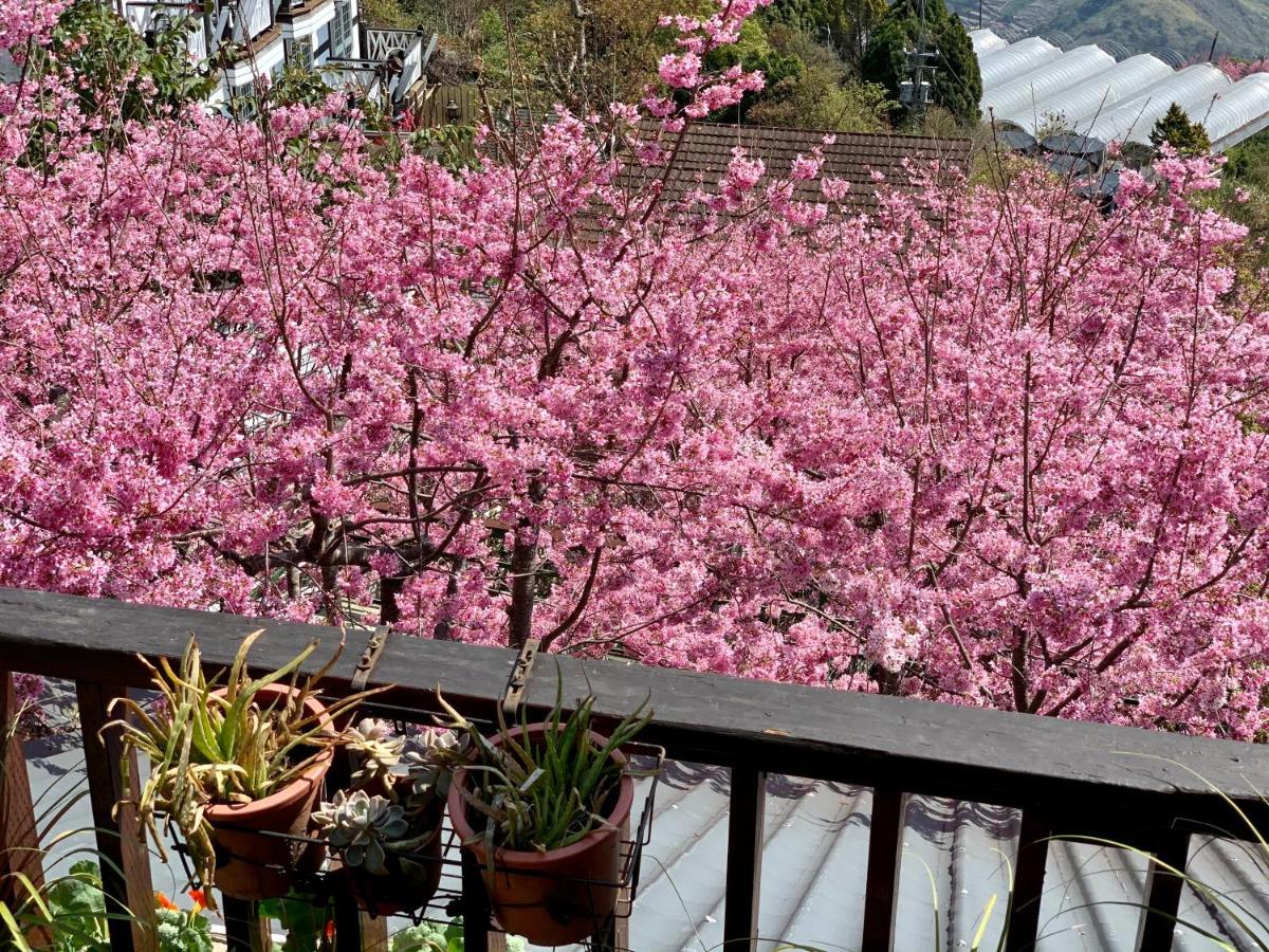 仁爱乡清境珂之幄山庄住宿加早餐旅馆 外观 照片