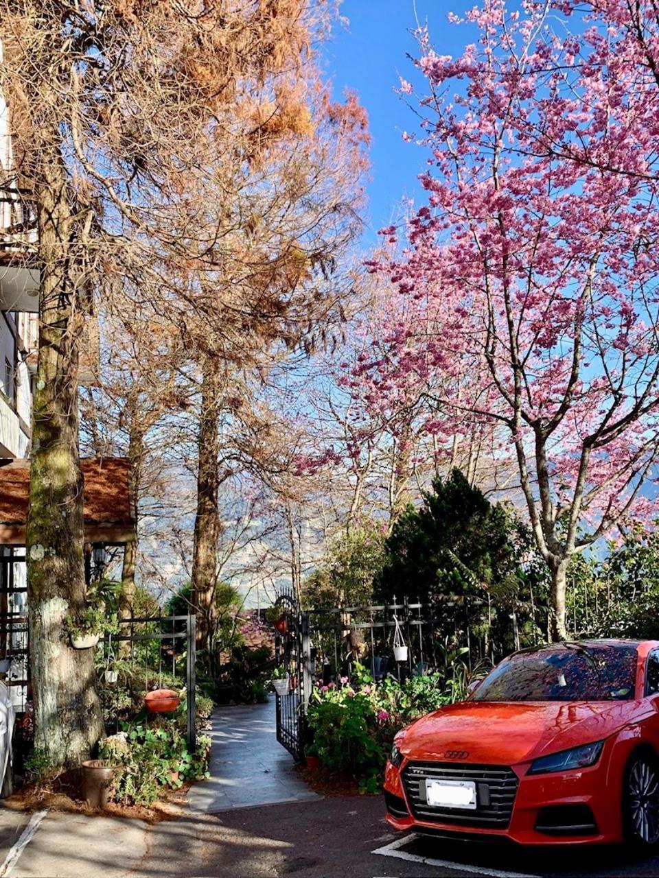 仁爱乡清境珂之幄山庄住宿加早餐旅馆 外观 照片