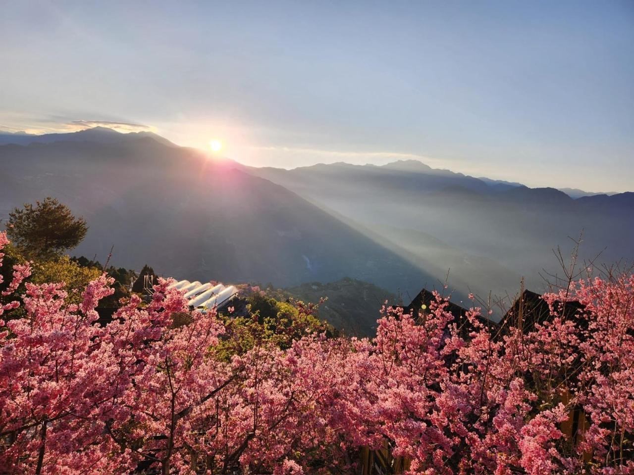 仁爱乡清境珂之幄山庄住宿加早餐旅馆 外观 照片