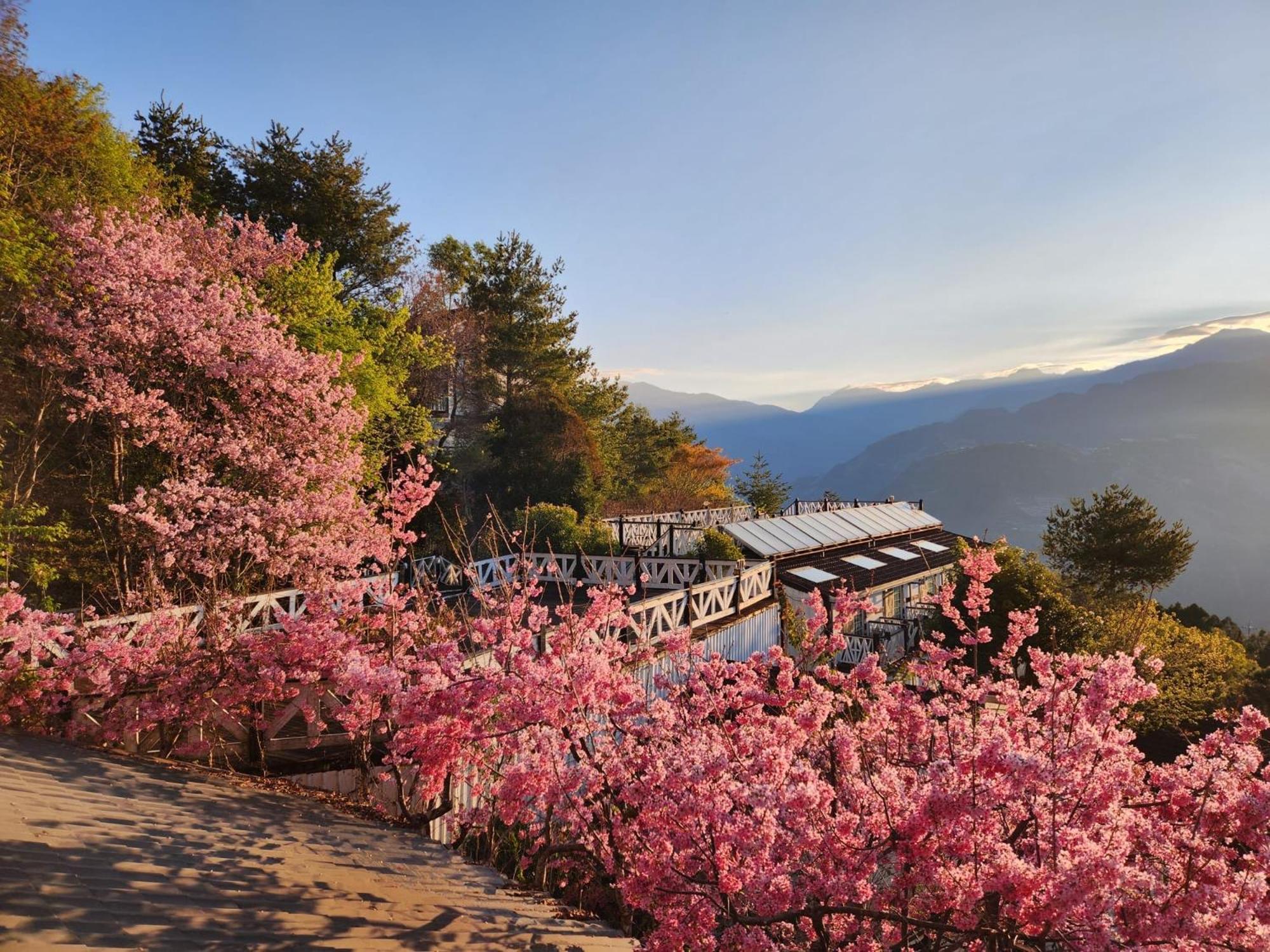 仁爱乡清境珂之幄山庄住宿加早餐旅馆 外观 照片